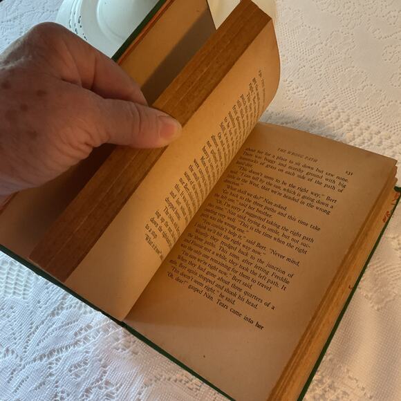 1934 The Bobbsey Twins Solve a Mystery by Laura Lee Hope Hardcover - Picture 8 of 10